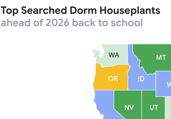Google.com/trends
