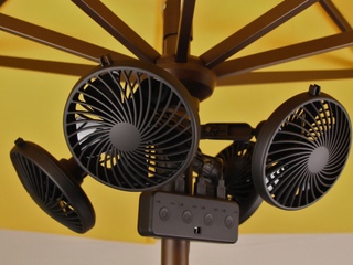 The Wozfan