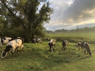 www.barstowslongviewfarm.com